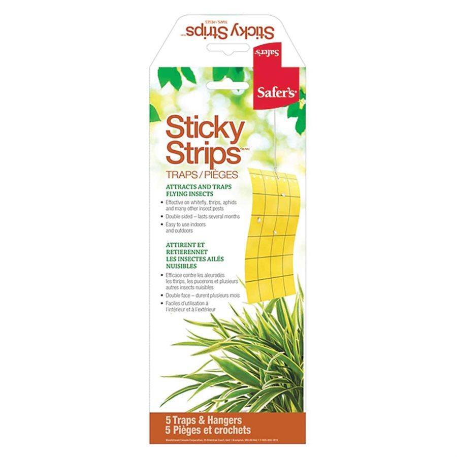 Sticky Strips Insect Traps, Includes 5 Traps