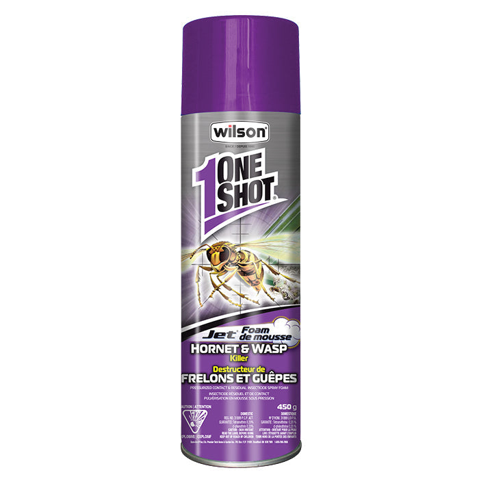 Insecticide, OneShot Hornet & Wasp Killer Foam