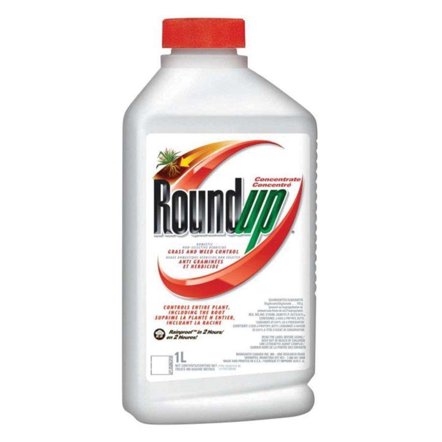 Roundup Grass and Weed Control Concentrate 1L