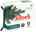 Jobe's Evergreen Fertilizer Spike [11-3-4], 9pk