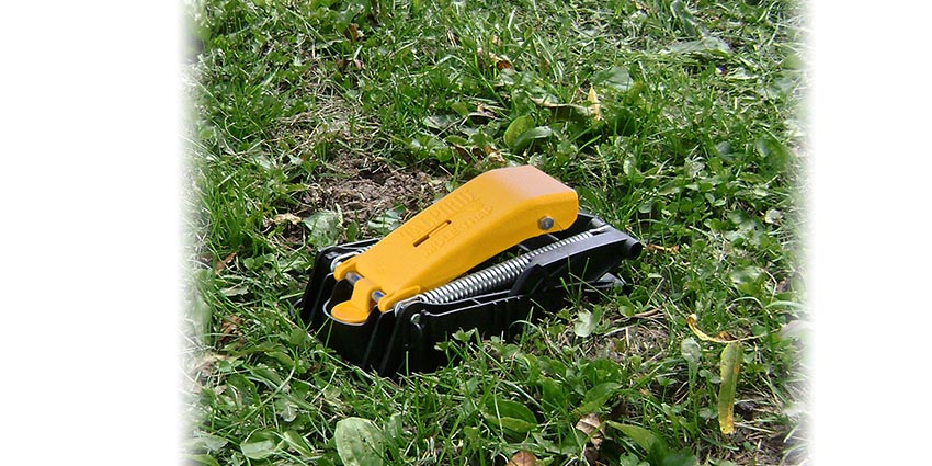 Talpirid Mole Trap