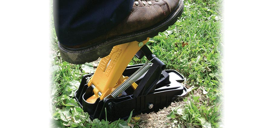 Talpirid Mole Trap