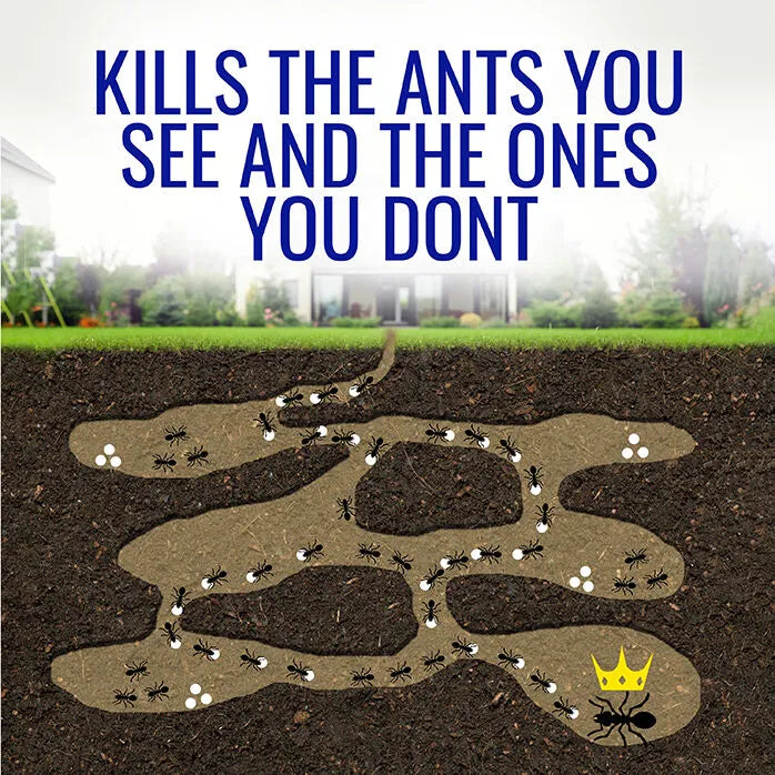 TERRO® Liquid Ant Killer, 2oz