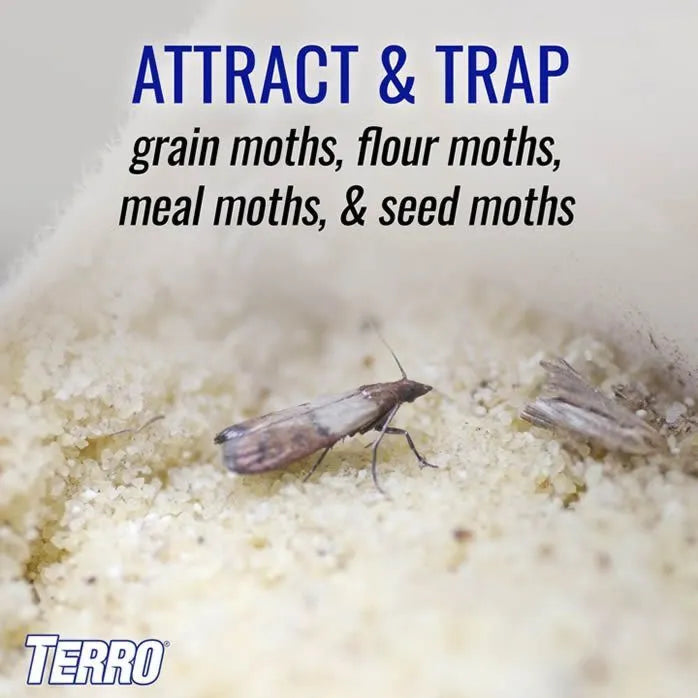 TERRO® Pantry Moth Traps (2/Pkg)